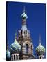 St Petersburg, the Church on Spilt Blood, Russia-Nick Laing-Stretched Canvas