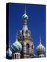 St Petersburg, the Church on Spilt Blood, Russia-Nick Laing-Stretched Canvas