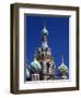 St Petersburg, the Church on Spilt Blood, Russia-Nick Laing-Framed Photographic Print