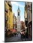 St. Reparate Cathedral, Place Rosseti, Old Town, Nice, Alpes Maritimes, Provence, Cote D'Azur, Fren-Peter Richardson-Mounted Premium Photographic Print