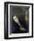 St Rita De Cascia in Ecstasy in Front of the Figure of Christ on the Cross, 19th Century-null-Framed Premium Giclee Print