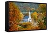 St. Sava Serbian Church and Cemetery in Jackson, California Surrounded by Fall Colors-John Alves-Framed Stretched Canvas