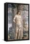 St. Sebastian, 1481-Andrea Mantegna-Framed Stretched Canvas