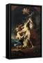 St Sebastian and the Women, 1746, 1698-1762-Paul Troger-Framed Stretched Canvas