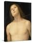 St. Sebastian, c.1495-Pietro Perugino-Stretched Canvas