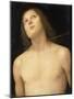 St. Sebastian, c.1495-Pietro Perugino-Mounted Giclee Print