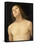 St. Sebastian, c.1495-Pietro Perugino-Framed Stretched Canvas