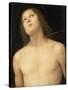 St. Sebastian, c.1495-Pietro Perugino-Stretched Canvas