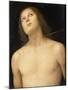 St. Sebastian, c.1495-Pietro Perugino-Mounted Giclee Print