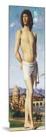 St Sebastian, C.1502-Giovanni Battista Cima Da Conegliano-Mounted Giclee Print
