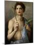 St. Sebastian Holding Two Arrows and the Martyr's Palm-Andrea del Sarto-Mounted Giclee Print