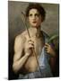 St. Sebastian Holding Two Arrows and the Martyr's Palm-Andrea del Sarto-Mounted Giclee Print