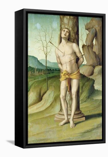 St. Sebastian (Oil on Panel)-Marco Palmezzano-Framed Stretched Canvas