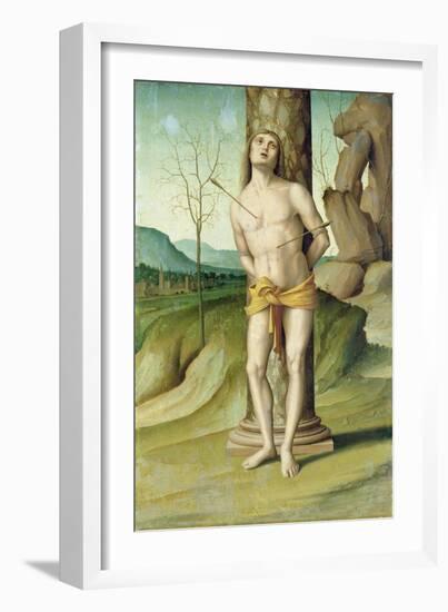 St. Sebastian (Oil on Panel)-Marco Palmezzano-Framed Giclee Print