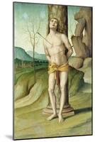 St. Sebastian (Oil on Panel)-Marco Palmezzano-Mounted Giclee Print