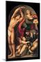 St. Sebastian, St. Roch and St. Catherine, il Pordenone, 1535. Venice, Italy-il Pordenone Sacchis-Mounted Art Print