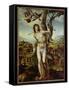 St. Sebastian-Giovanni Antonio Bazzi Sodoma-Framed Stretched Canvas