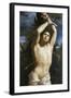 St. Sebastian-Guido Reni-Framed Giclee Print