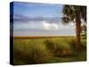 St. Simons, GA-J.D. Mcfarlan-Stretched Canvas