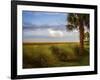 St. Simons, GA-J.D. Mcfarlan-Framed Photographic Print