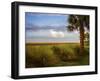 St. Simons, GA-J.D. Mcfarlan-Framed Photographic Print