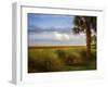 St. Simons, GA-J.D. Mcfarlan-Framed Photographic Print