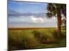 St. Simons, GA-J.D. Mcfarlan-Mounted Photographic Print