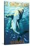 St. Simons Island, Georgia - Shark-Lantern Press-Stretched Canvas