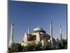 St. Sophia, Hagia Sophia Mosque (Aka Aya Sophia Haghia Sophia), Istanbul, Turkey-Cindy Miller Hopkins-Mounted Photographic Print