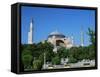 St. Sophia Mosque, Unesco World Heritage Site, Istanbul, Turkey-Simon Harris-Framed Stretched Canvas