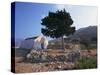 St. Stephanos Chapel, Tilos, Dodecanese, Greek Islands, Greece, Europe-Ken Gillham-Stretched Canvas