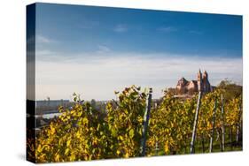 St. Stephansmunster cathedral from vineyard, Breisach, Black Forest, Baden-Wurttemberg, Germany-null-Stretched Canvas