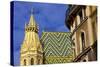 St. Stephen's Cathedral, UNESCO World Heritage Site, Vienna, Austria, Europe-Neil Farrin-Stretched Canvas