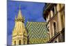 St. Stephen's Cathedral, UNESCO World Heritage Site, Vienna, Austria, Europe-Neil Farrin-Mounted Photographic Print