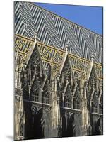 St. Stephens Cathedral, Vienna, Austria-Jon Arnold-Mounted Photographic Print