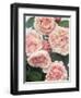 St. Swithan Roses-Clay Perry-Framed Photographic Print