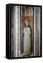 St Thomas Aquinas, Mid 15th Century-Fra Angelico-Framed Stretched Canvas