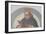 St. Thomas Aquinas Reading, circa 1510-11-Fra Bartolommeo-Framed Giclee Print