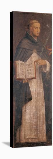 St Thomas Aquinas-Bernardino Luini-Stretched Canvas