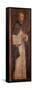 St. Thomas Aquinas-Bernardino Luini-Framed Stretched Canvas