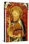 St Thomas, Detail of the Rood Screen, St Helen's Church, Ranworth, Norfolk, Uk-null-Stretched Canvas