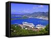 St. Thomas, United States Virgin Islands, West Indies, Caribbean, Central America-Michael DeFreitas-Framed Stretched Canvas