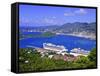 St. Thomas, United States Virgin Islands, West Indies, Caribbean, Central America-Michael DeFreitas-Framed Stretched Canvas