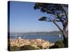 St. Tropez, Cote d'Azur, France-Doug Pearson-Stretched Canvas