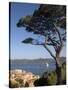 St. Tropez, Cote d'Azur, France-Doug Pearson-Stretched Canvas