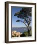 St. Tropez, Cote d'Azur, France-Doug Pearson-Framed Photographic Print