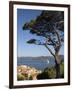 St. Tropez, Cote d'Azur, France-Doug Pearson-Framed Photographic Print