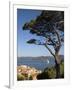 St. Tropez, Cote d'Azur, France-Doug Pearson-Framed Photographic Print