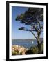 St. Tropez, Cote d'Azur, France-Doug Pearson-Framed Photographic Print