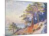 St Tropez, the Custom's Path, 1905-Paul Theodor van Brussel-Mounted Giclee Print